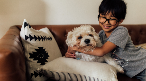 boy holding a white dog on the couch