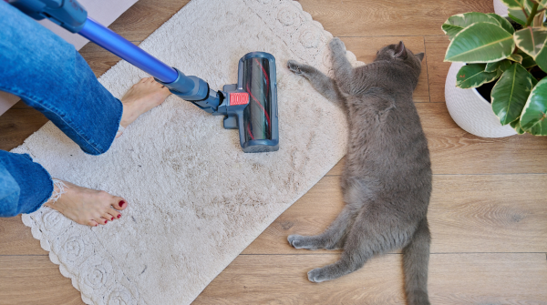 Master Pet Care Workflow 2026 for Odor-Free Homes
