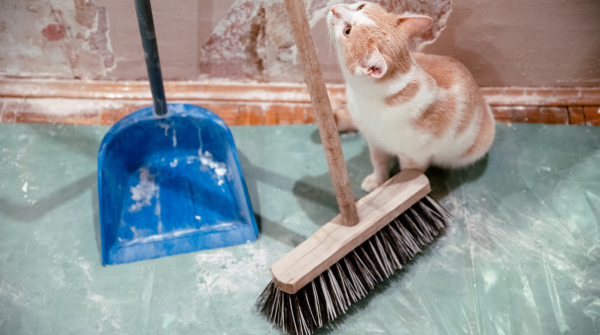 Pet-Parent Cleaning Checklist for a Safe, Fresh Home