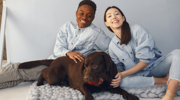 a couple sitting with their chocolate labrador