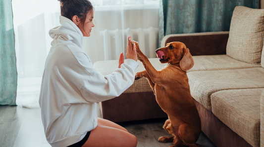 Woman and a dog playing patty cake on the floor
