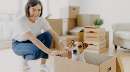 woman playing with her dog whos in a cardboard box