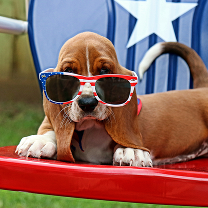 Beagle wearing american themed sunglasses on a red, hite & blue chair