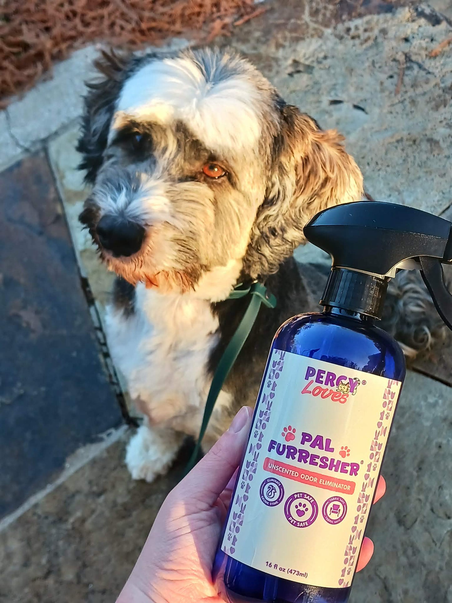 16 oz Pal Furresher Unscented Odor Eliminator